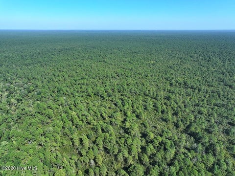 Tiny photo for 0 Angola Bay Road, Wallace, NC 28466 (MLS # 100611303)