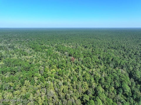 Tiny photo for 0 Angola Bay Road, Wallace, NC 28466 (MLS # 100611303)