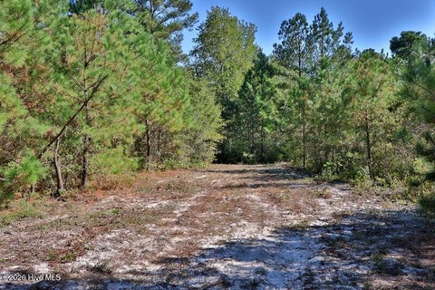 Tiny photo for 0 Angola Bay Road, Wallace, NC 28466 (MLS # 100611303)
