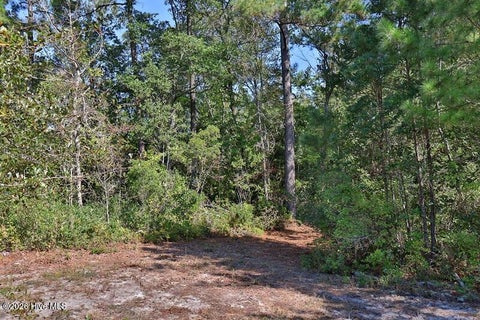 Tiny photo for 0 Angola Bay Road, Wallace, NC 28466 (MLS # 100611303)