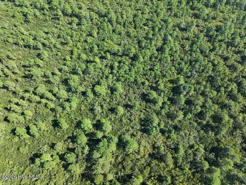 Tiny photo for 0 Angola Bay Road, Wallace, NC 28466 (MLS # 100611303)