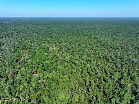 Tiny photo for 0 Angola Bay Road, Wallace, NC 28466 (MLS # 100611303)