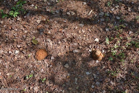 Tiny photo for 0 Angola Bay Road, Wallace, NC 28466 (MLS # 100611303)