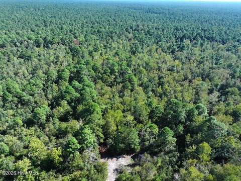 Tiny photo for 0 Angola Bay Road, Wallace, NC 28466 (MLS # 100611303)