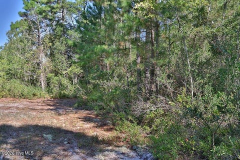 Tiny photo for 0 Angola Bay Road, Wallace, NC 28466 (MLS # 100611303)