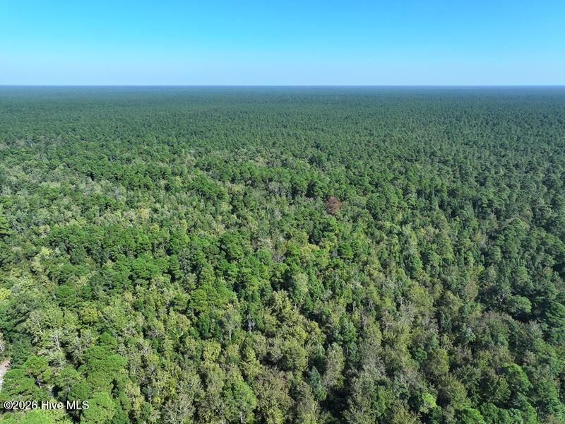Photo of 0 Angola Bay Road, Wallace, NC 28466 (MLS # 100611303)