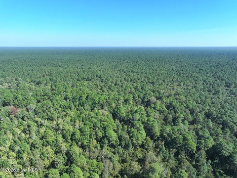 Tiny photo for 0 Angola Bay Road, Wallace, NC 28466 (MLS # 100611303)