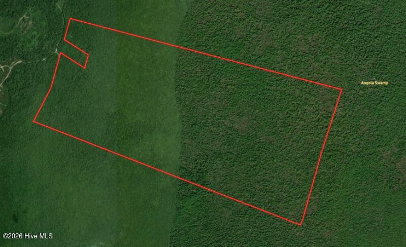 Photo of 0 Angola Bay Road, Wallace, NC 28466 (MLS # 100611303)