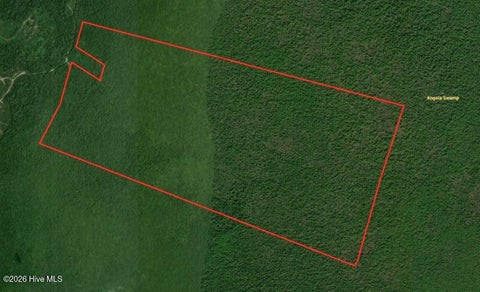 Tiny photo for 0 Angola Bay Road, Wallace, NC 28466 (MLS # 100611303)