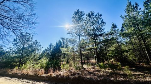 Vacant Land For Sale - Loon Road<br/> Barnwell County, Barnwell, SC 29812