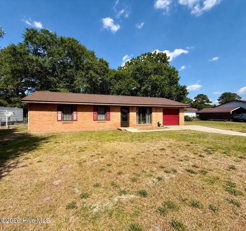 Photo of 203 Fox Drive, Dudley, NC 28333 (MLS # 100576501)