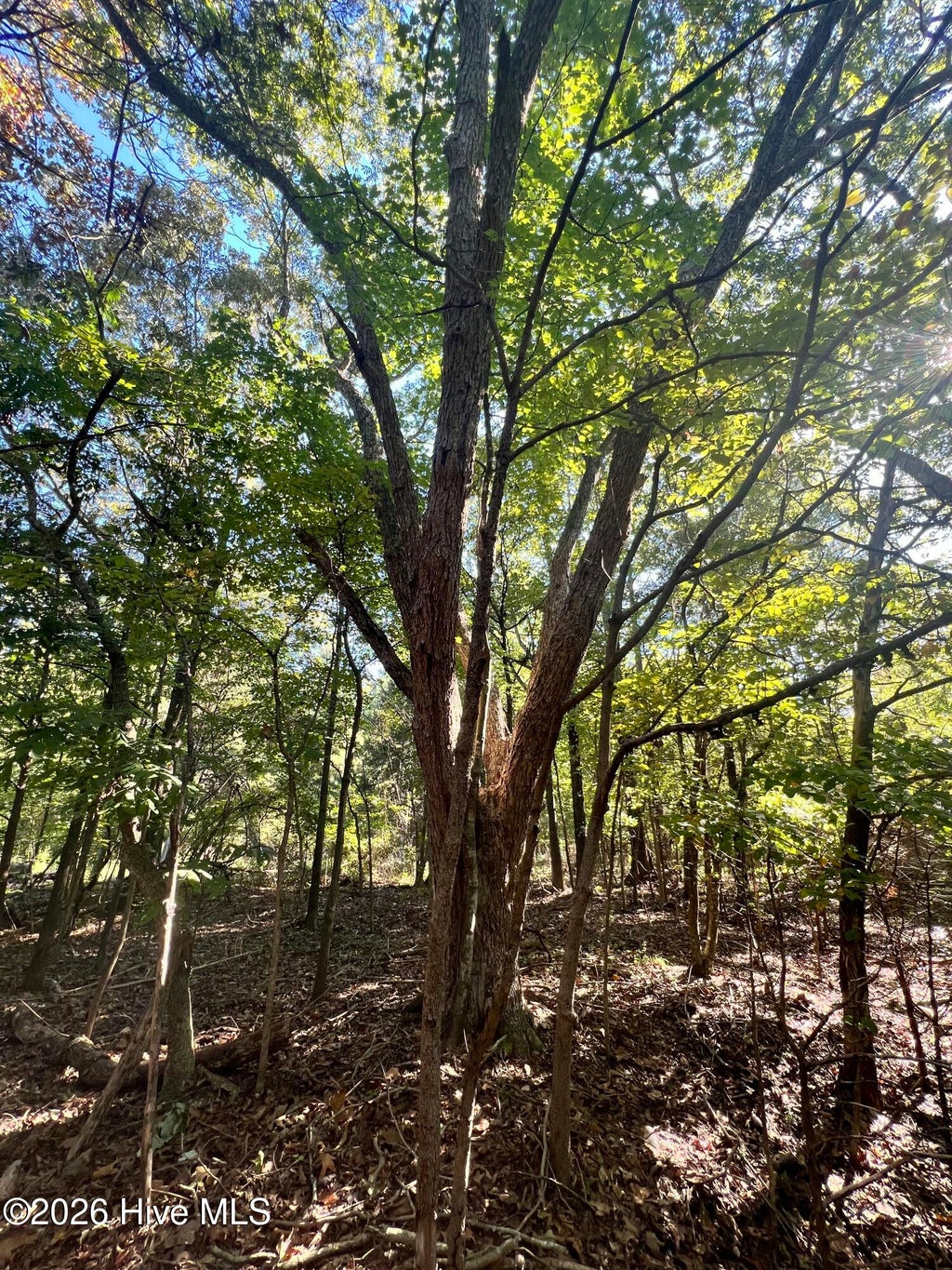 Photo of 5 Coleman Loop Road, Hillsborough, NC 27278 (MLS # 100607628)