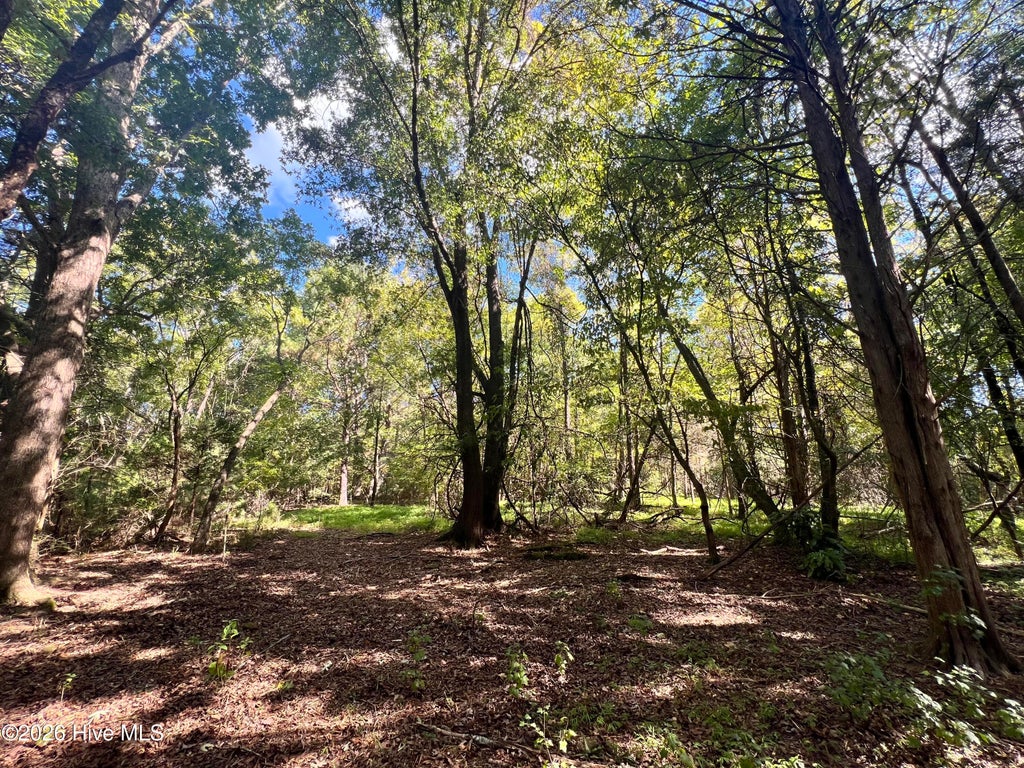 Photo of 5 Coleman Loop Road, Hillsborough, NC 27278 (MLS # 100607628)