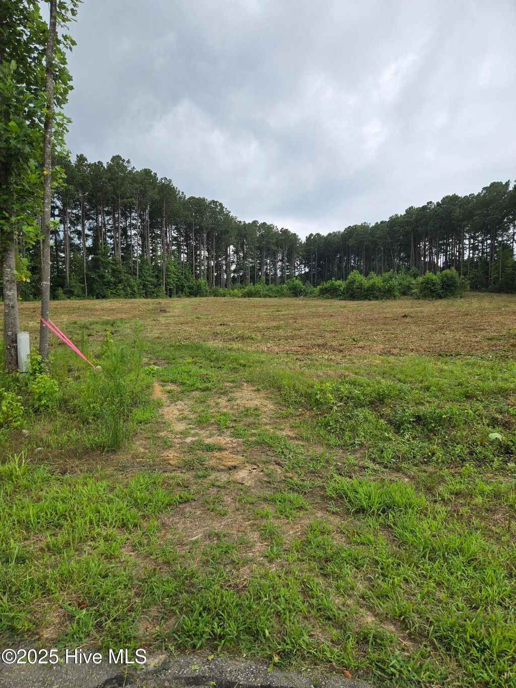 Photo of 51 Roseheath Court, Bailey, NC 27807 (MLS # 100518351)