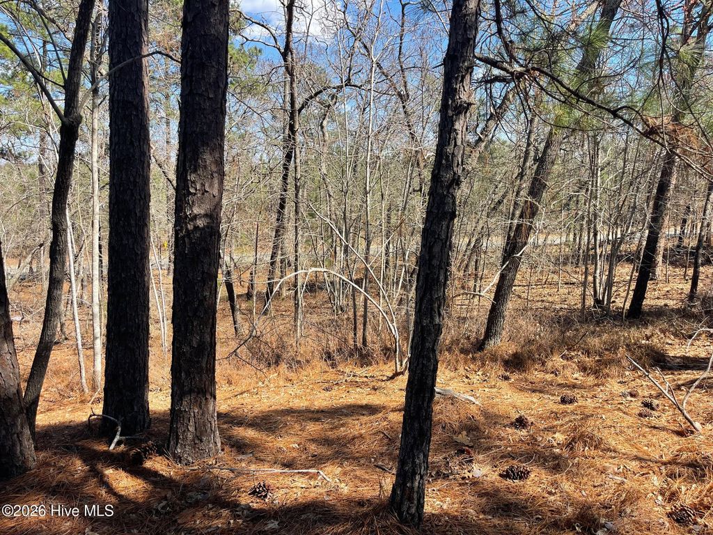 Photo of 445 Longleaf Drive, West End, NC 27376 (MLS # 100559354)