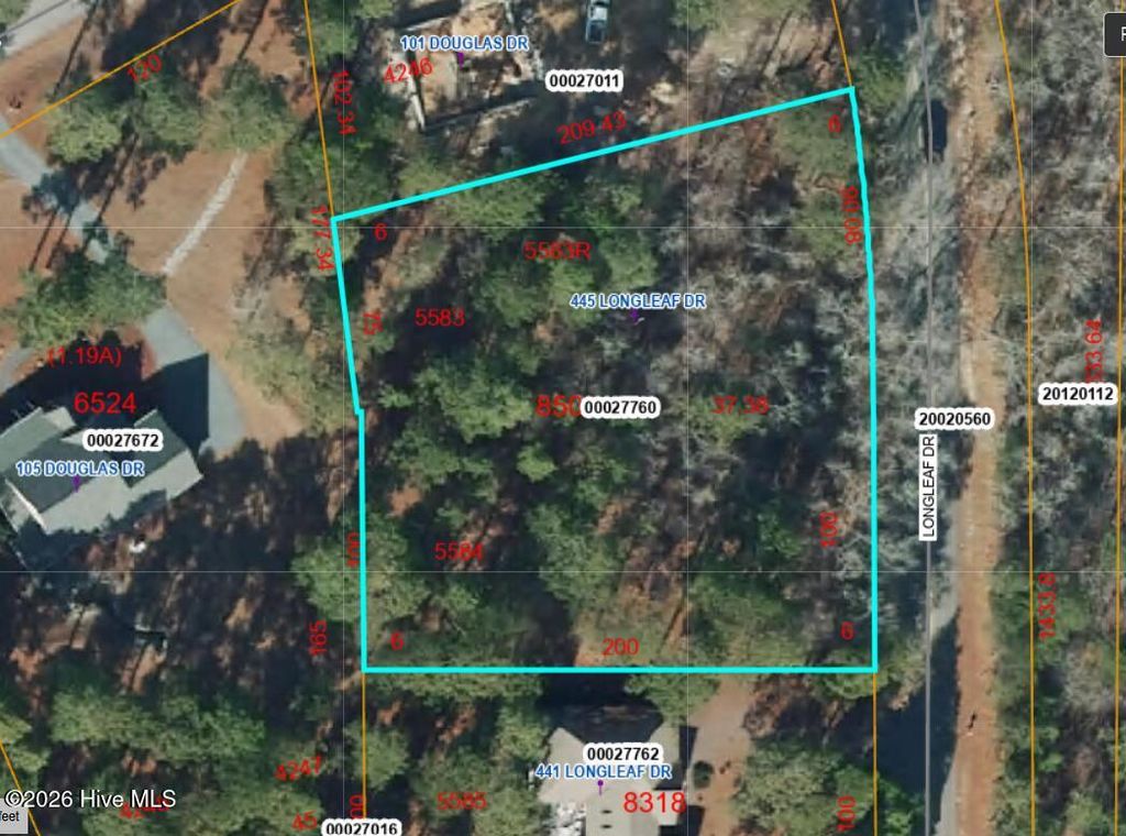 Photo of 445 Longleaf Drive, West End, NC 27376 (MLS # 100559354)