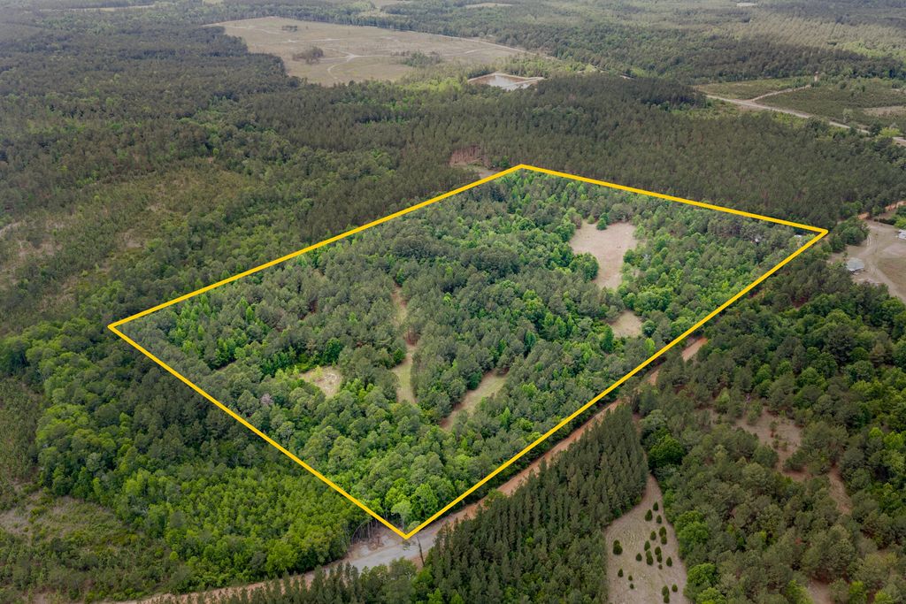 Photo of 1059 Rabitsch Road, Millen, GA 30442 (MLS # 555384)