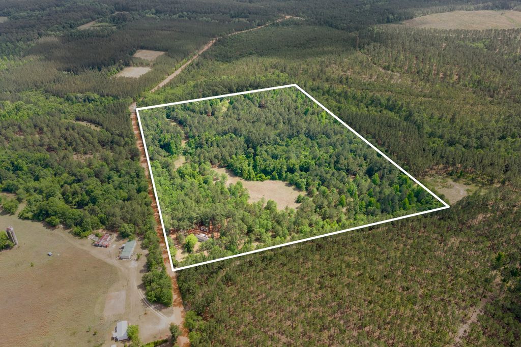 Photo of 1059 Rabitsch Road, Millen, GA 30442 (MLS # 555384)