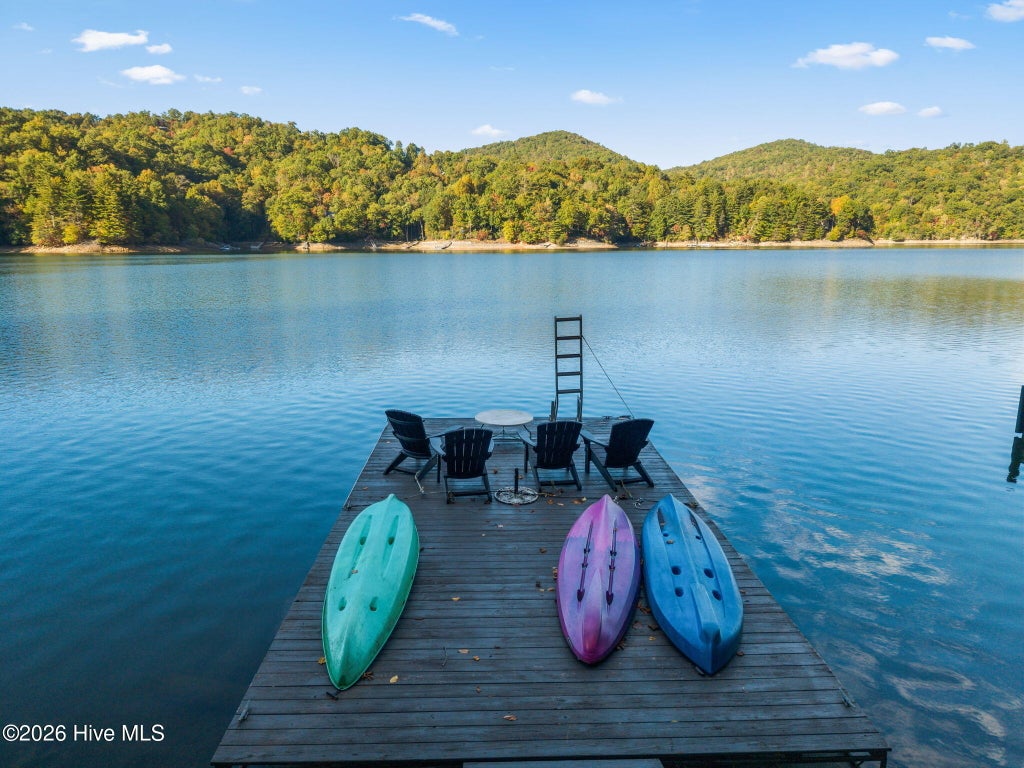 Photo of 446 Nantahala Shores Road, Topton, NC 28781 (MLS # 100611093)