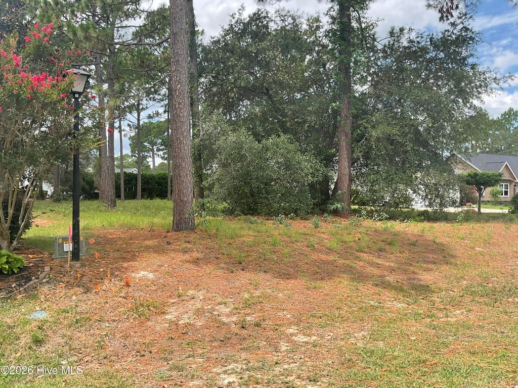 Photo of 205 Planters Ridge Drive, Sunset Beach, NC 28468 (MLS # 100589453)