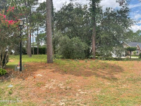 Photo of 205 Planters Ridge Drive, Sunset Beach, NC 28468 (MLS # 100589453)