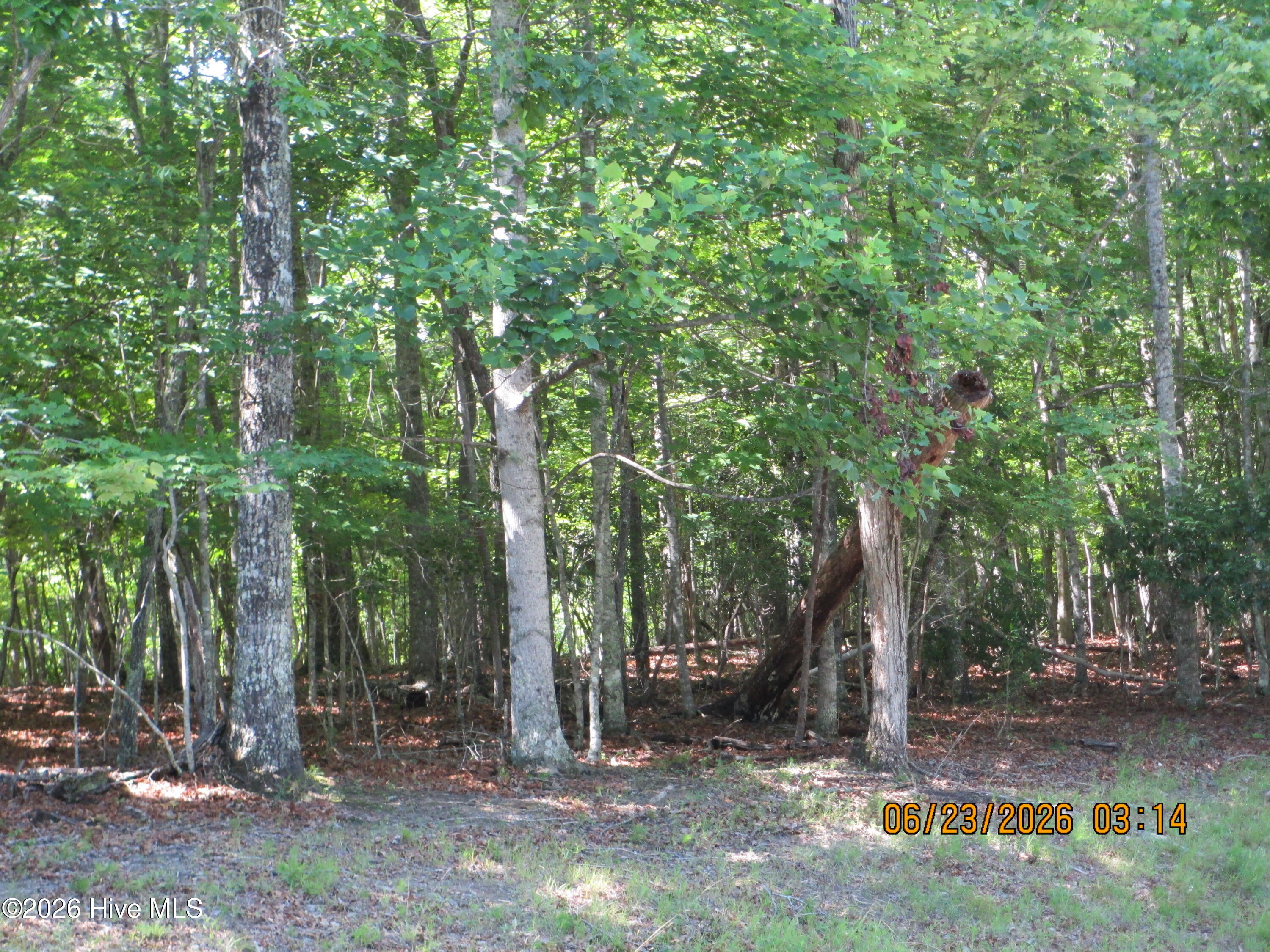 Lot 8, 8 Quail Cove Circle