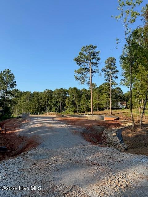 Photo of 203 Course View, McCormick, SC 29835 (MLS # 100599852)