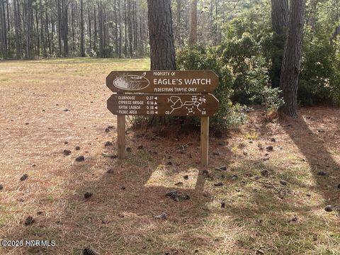 Tiny photo for 167 Hydrangea Lane, Hampstead, NC 28443 (MLS # 100550351)