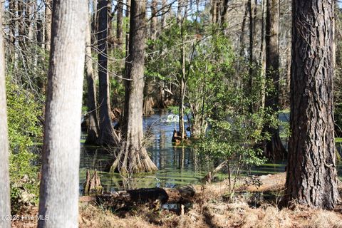 Tiny photo for 167 Hydrangea Lane, Hampstead, NC 28443 (MLS # 100550351)