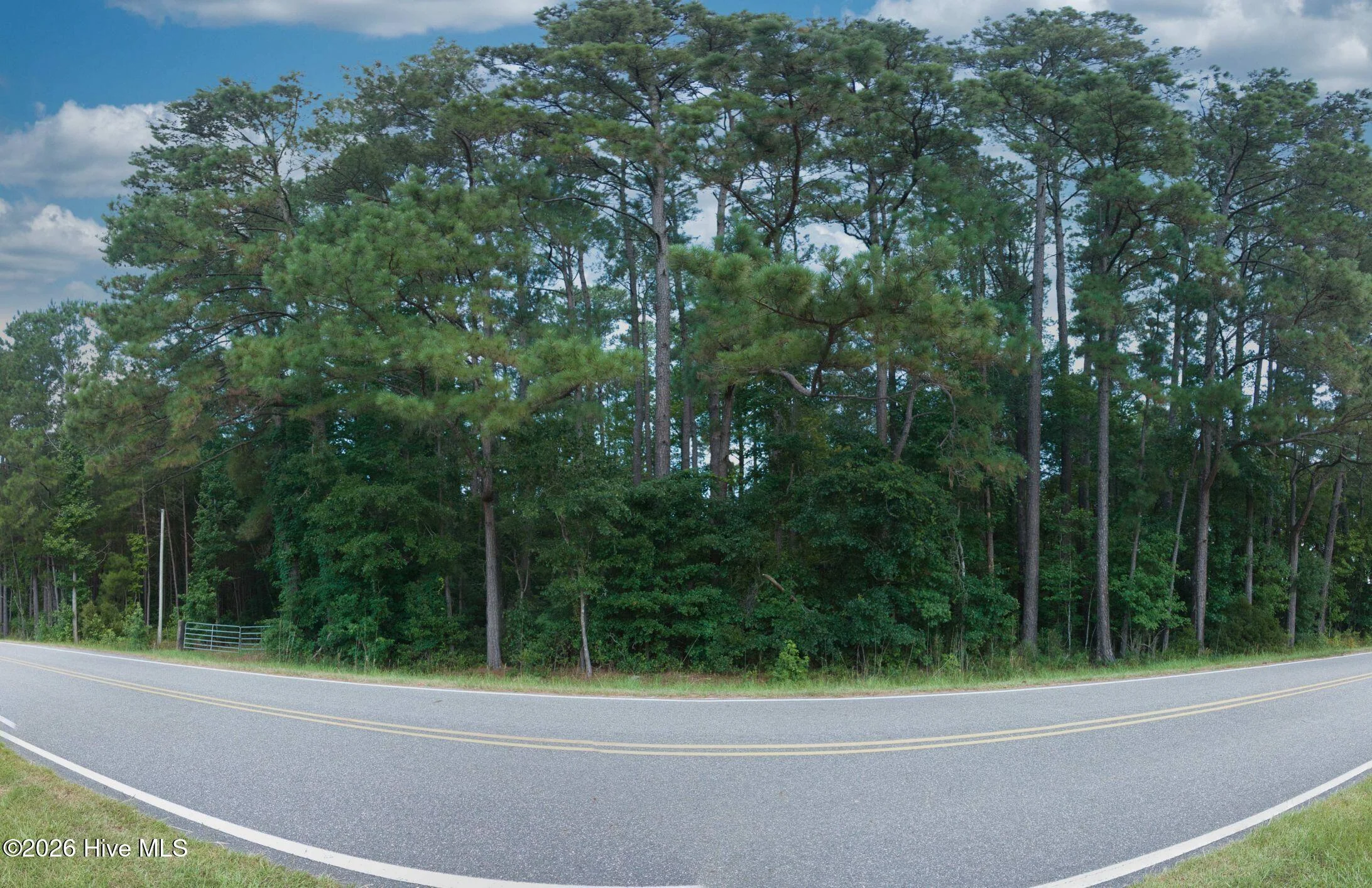 0000 Near 855 Furnie Hamm Road, Clarendon, NC, 28432