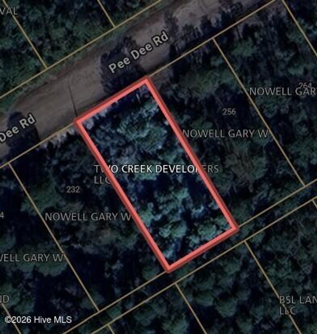 Photo of Tbd Pee Dee Road, Southport, NC 28461 (MLS # 100564397)