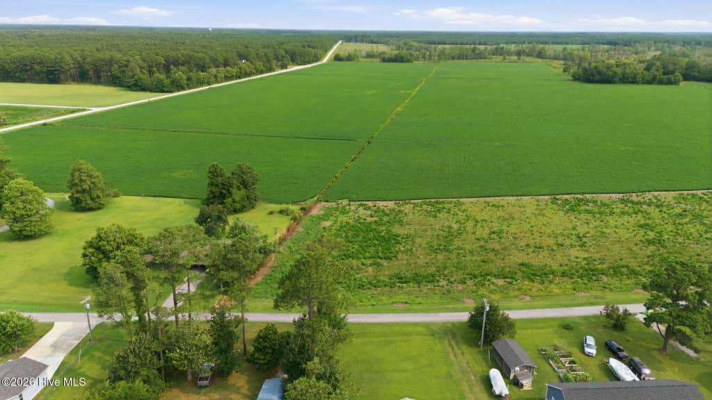 Photo of 177 China Grove Road, Arapahoe, NC 28510 (MLS # 100598456)