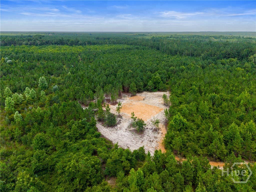 Photo of 381 Findley Cemetery Road, Lyons, GA 30436 (MLS # SA361122)