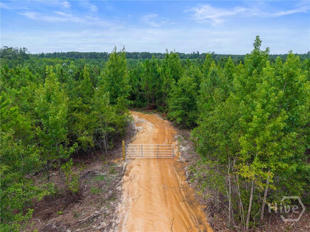 Photo of 381 Findley Cemetery Road, Lyons, GA 30436 (MLS # SA361122)