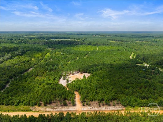 FINDLEY CEMETERY RD, LYONS, GA 30436 - Image c192ff628cbf83f62c29818cfb4ddceb/4028646447