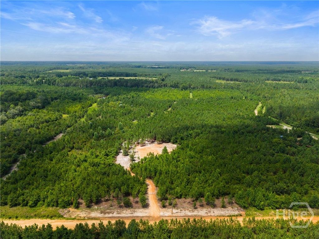 Photo of 381 Findley Cemetery Road, Lyons, GA 30436 (MLS # SA361122)