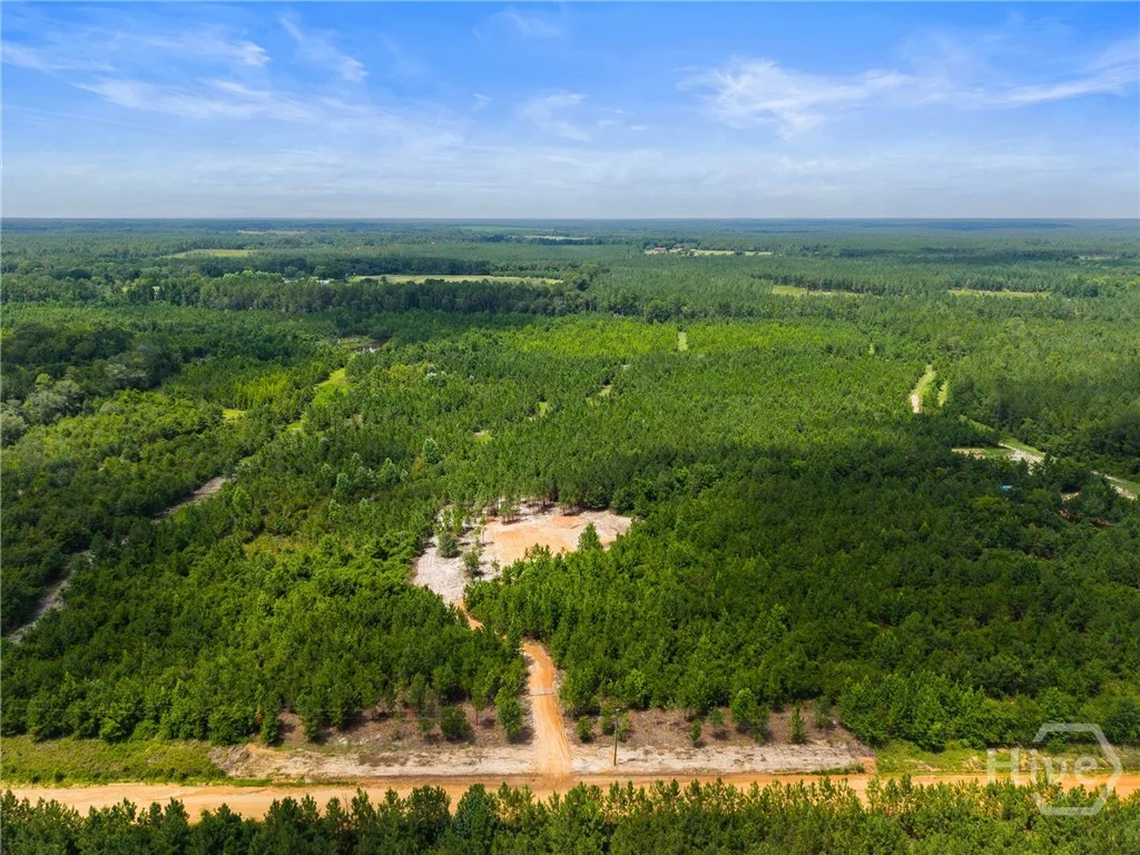381 Findley Cemetery Road, Lyons, GA, 30436