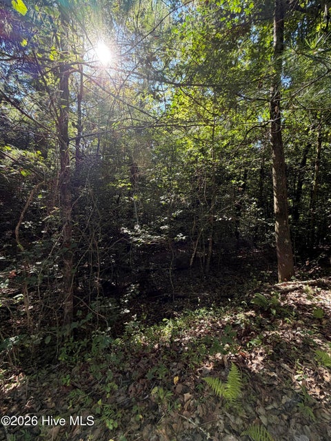 Vacant Land For Sale - Explorer Ridge<br/> Murphy, NC 28906