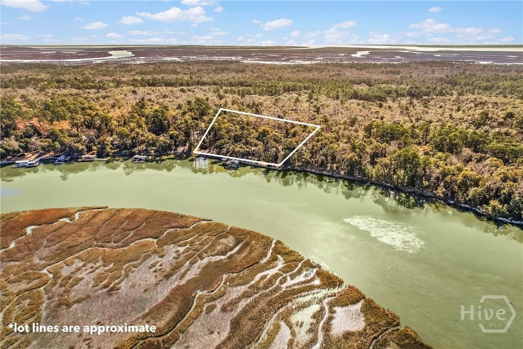 Photo of 1775 Delegal Road, Townsend, GA 31331 (MLS # SA350839)