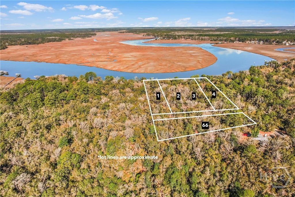 Photo of 1775 Delegal Road, Townsend, GA 31331 (MLS # SA350839)