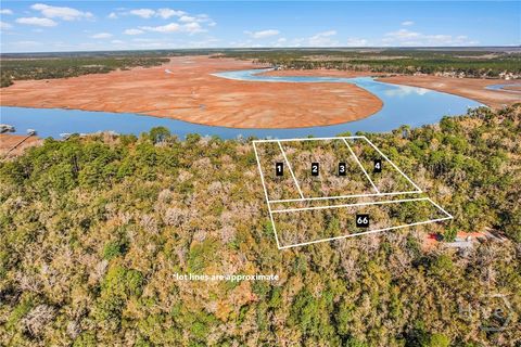 Homes For Sale - 1775 Delegal Road<br/> Townsend, GA 31331