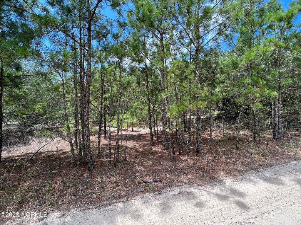 Photo of 2312 Swan Island Road, Corolla, NC 27927 (MLS # 100613281)