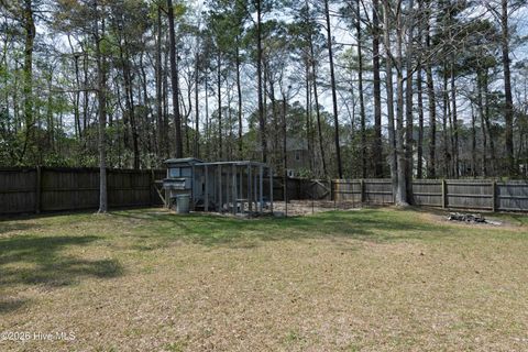 Tiny photo for 709 Cattail Court, Jacksonville, NC 28540 (MLS # 100563083)