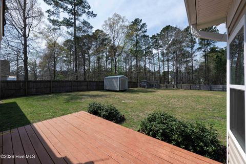 Tiny photo for 709 Cattail Court, Jacksonville, NC 28540 (MLS # 100563083)