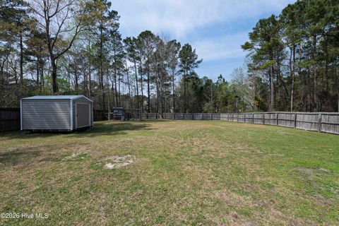 Tiny photo for 709 Cattail Court, Jacksonville, NC 28540 (MLS # 100563083)