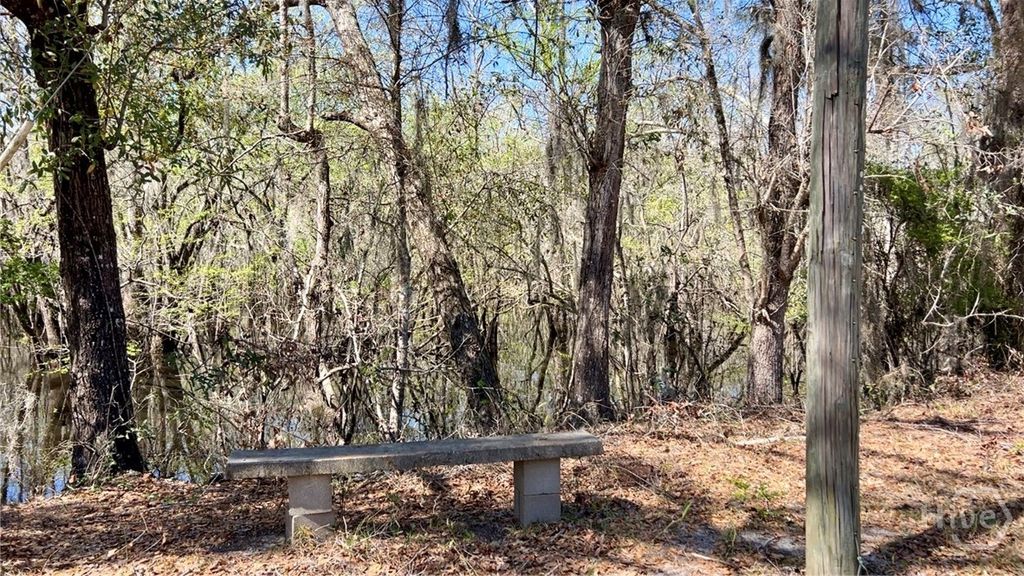 Photo of 265 Big Cypress Drive, Bloomingdale, GA 31302 (MLS # SA351287)