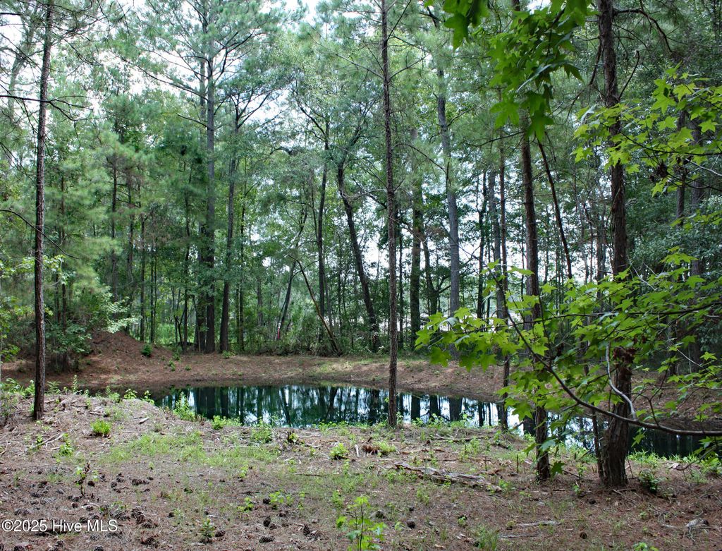 Photo of 6780 Hanbury Place SW, Ocean Isle Beach, NC 28469 (MLS # 100522042)