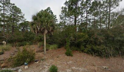 Photo of 4279 River Birch Drive, Southport, NC 28461 (MLS # 100589479)