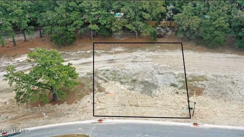 Photo of 259 E Wayfinder Lane, Hampstead, NC 28443 (MLS # 100560223)