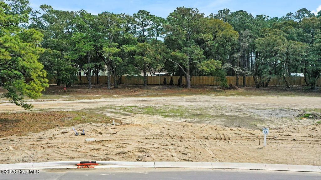 Photo of 259 E Wayfinder Lane, Hampstead, NC 28443 (MLS # 100560223)